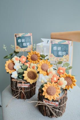 「教师节」感恩栽培 针织花向日葵（小花非食用）