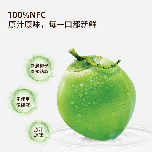 越南进口农娜牌椰子水330ml*3 商品图3
