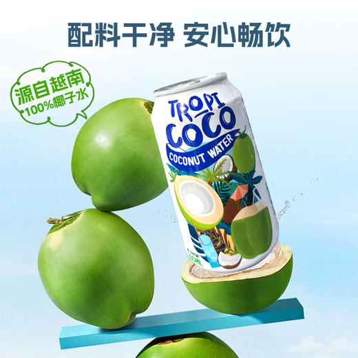 越南进口农娜牌椰子水330ml*3 商品图4