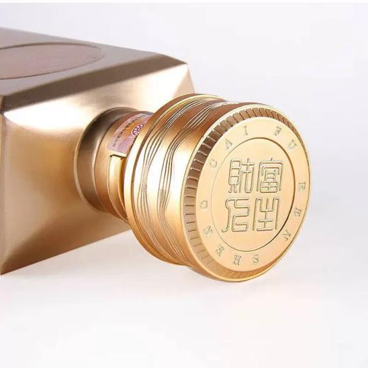 一价到底 【五粮液财富人生金砖酒】52度浓香型白酒，匠心勾调，酒香温和，品质稳定，雍容饱满，回味悠长。 商品图1