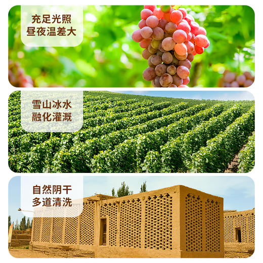 疆果果柠檬味葡萄干  105g*2/组 商品图5