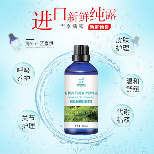 【预售】西伯利亚冷杉纯露 2025当季新露 海外进口新鲜纯露 原产地直供 商品图2