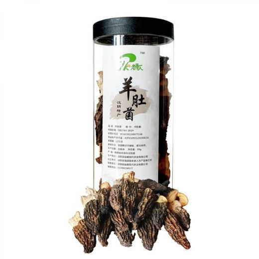 最安康羊肚菌 50g罐装 商品图0