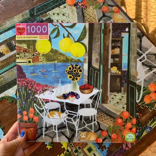 【成人拼图大冒险】美国eeBoo500片/1000片拼图  成人益智游戏  挑战自我  智慧与品味的碰撞 商品图6