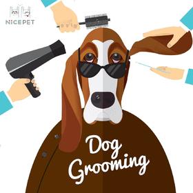 Nice Pet狗狗纯手剪造型（含洗澡）