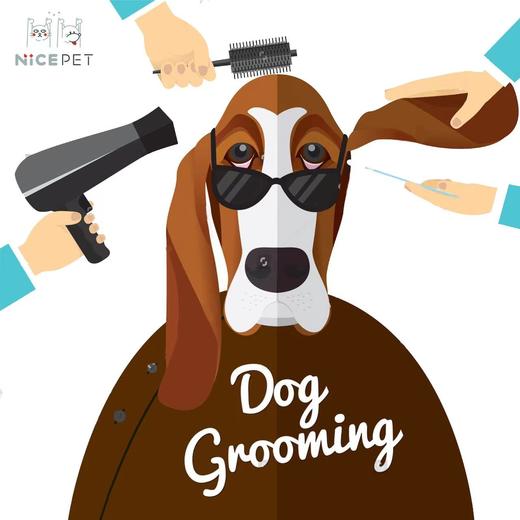 Nice Pet狗狗纯手剪造型（含洗澡） 商品图0