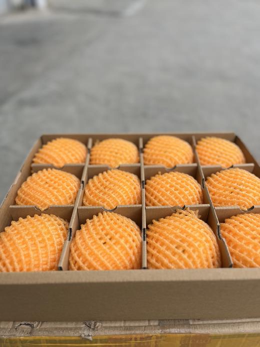 甘肃秦安苹果 黄元帅 酸甜脆爽 商品图6