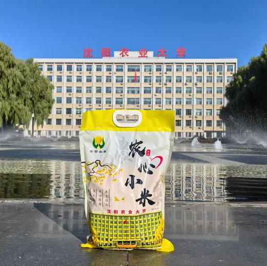 农心小米(2.5kg) 安营杂寨 沈农品质 特色小米 商品图0