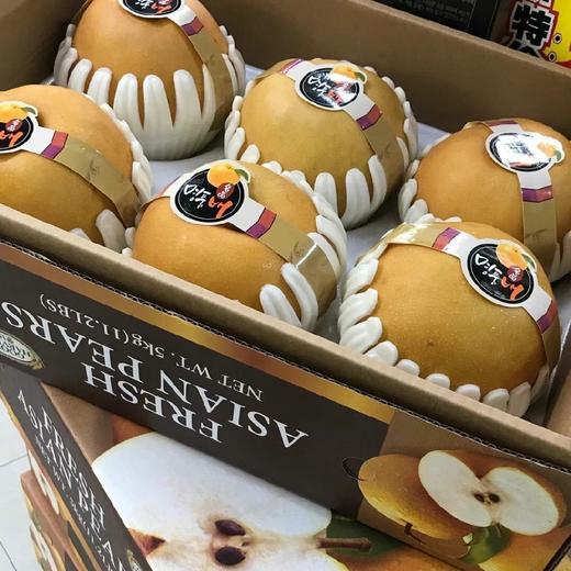 월배(특대과 6개입)5kg좌우 商品图0