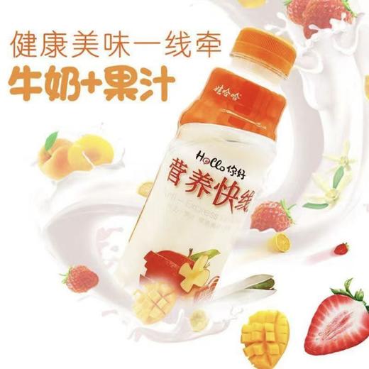 娃哈哈营养快线500g原味牛奶+果汁健康活力每一天 早餐哇哈哈饮料 商品图1