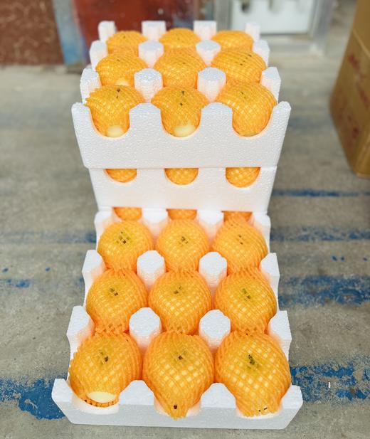 甘肃秦安苹果 黄元帅 酸甜脆爽 商品图7