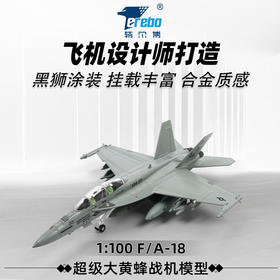 特尔博-长春航展、九三阅兵纪念品 1:100F18超级大黄蜂飞机模型合金仿真战斗机拼装航模F/A-18