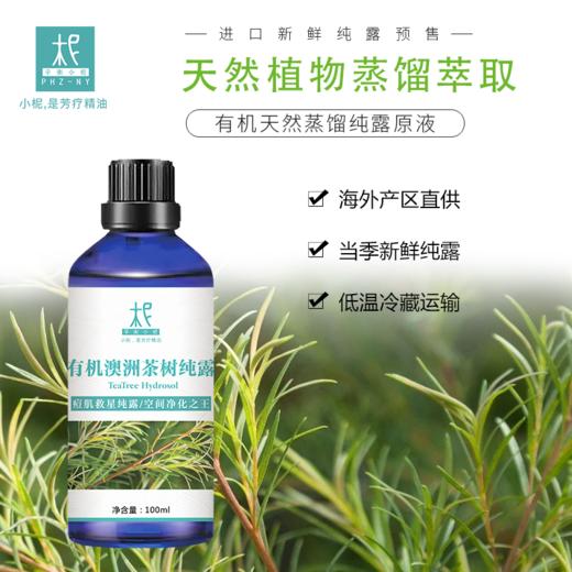 【预售】澳洲茶树纯露 2025当季新露 海外进口新鲜纯露 原产地直供 商品图2