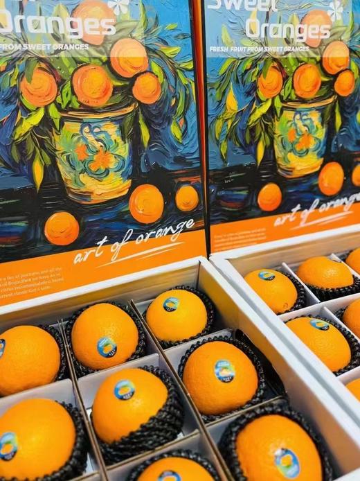 澳橙油画礼盒（12个装） 商品图0