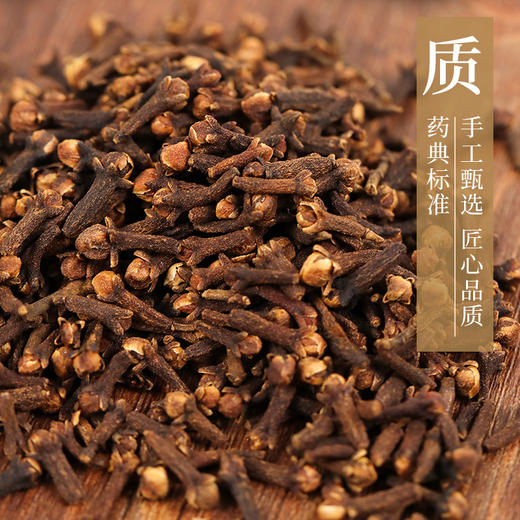 丁香 药食同源康美中药饮片 独立小包装 10g起 商品图2