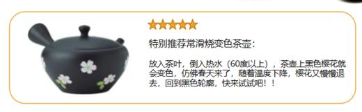 【样品特惠4.5折，仅1个无原包装，无货退款】常滑烧侧把壶 日本进口日式全手工高级茶壶常滑烧黑泥小丸椿黑色桔梗温变樱花 商品图1