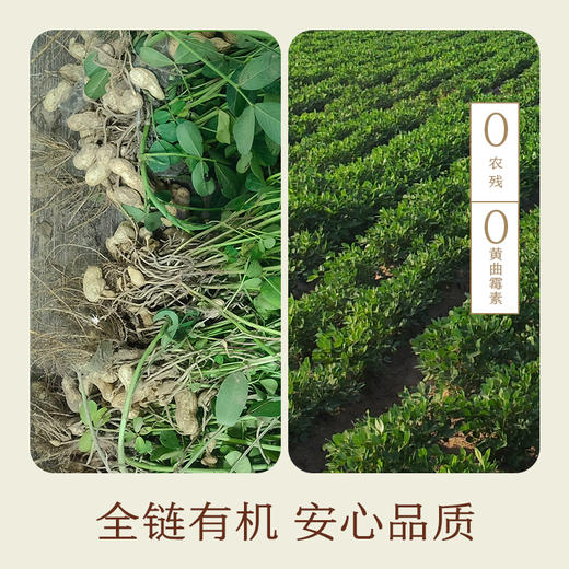 南食召 有机花生油 商品图2