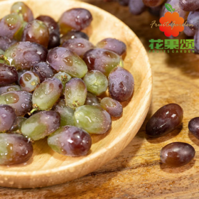 【花香葡萄】云南茉莉香葡萄 洗净装盒 约300g