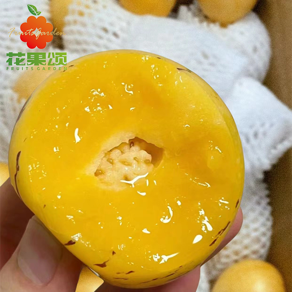 【水润多汁】人参果一盒 约600g