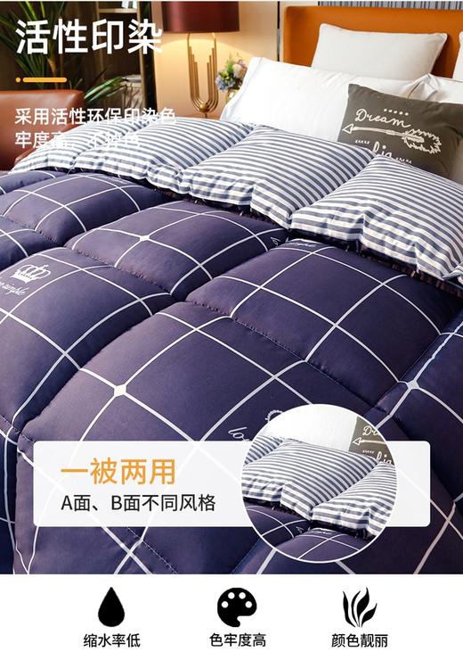 印花被子【斩男也斩女】3-4斤150*200cm抗菌防螨印花被褥  棉被加厚保暖 太空被芯 商品图9