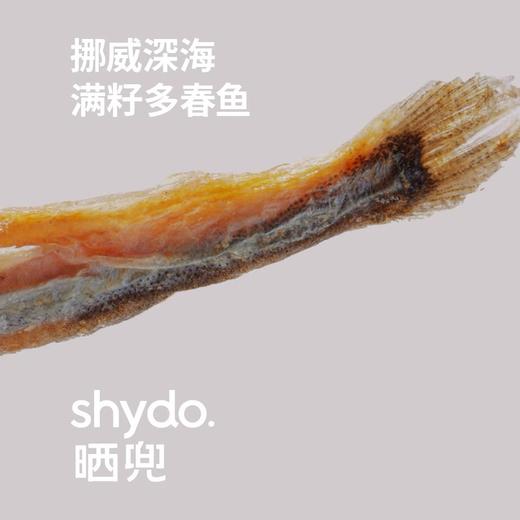 shydo.晒兜犬猫冻干零食 商品图6