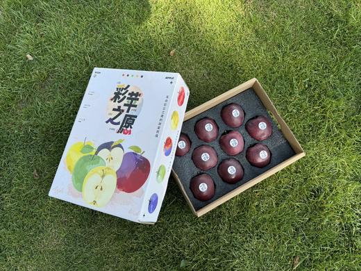 云南昭通·黑卡苹果（云南乡村振兴） 商品图6