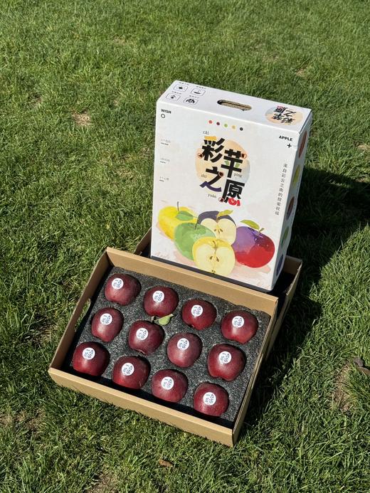 云南昭通·黑卡苹果（云南乡村振兴） 商品图8