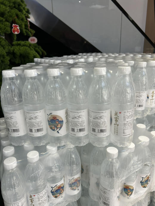 武当山天然弱碱水550ml 商品图1