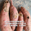 生态红薯/金薯/紫薯/板栗香薯（大小不一，申通）| 合作生产* Eco sweet potato | Coproduction 商品缩略图1