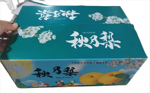 【宜昌】山水龙城秋月梨4.5斤/箱 商品图3