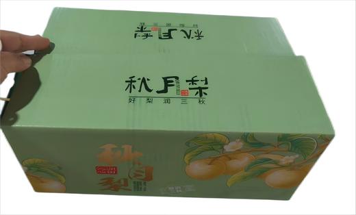 【宜昌】山水龙城秋月梨4.5斤/箱 商品图4