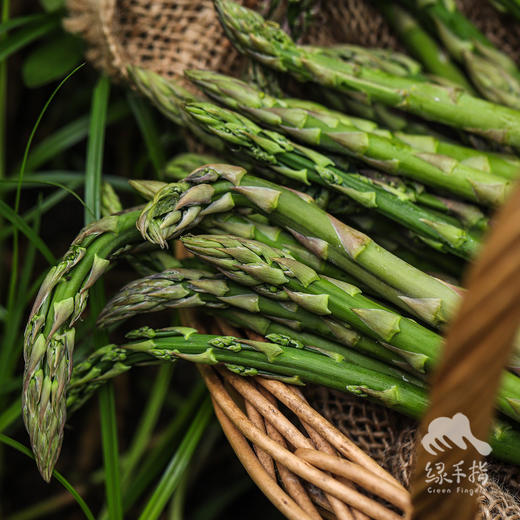 生态芦笋 | 合作生产* Eco-asparagus | Partner Production 商品图2