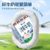 牦牛小白高原纯牛奶200mlx10 商品缩略图1