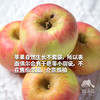 有机沙漠苹果 | 合作生产 * Organic Desert Apple | Partner Production 商品缩略图1