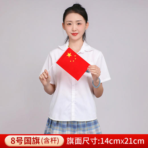 10个装！帮穿好杆子 14*21cm8号手摇中国国旗五星红旗手摇旗小党旗带杆小红旗 商品图1