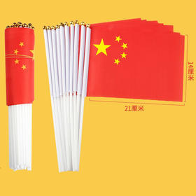 10个装！帮穿好杆子 14*21cm8号手摇中国国旗五星红旗手摇旗小党旗带杆小红旗