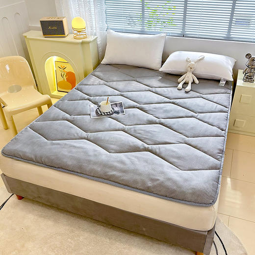 180*200cm 实用简约款 加厚床垫床褥子垫被软垫/床 商品图0