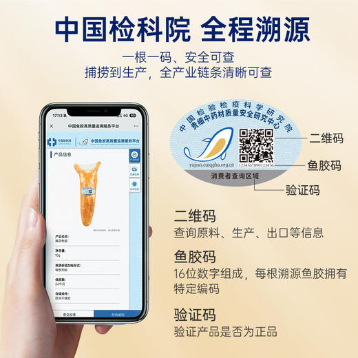 【限时特惠】官栈×深度逆转溯源6A黄花鱼胶干花胶180g 商品图4