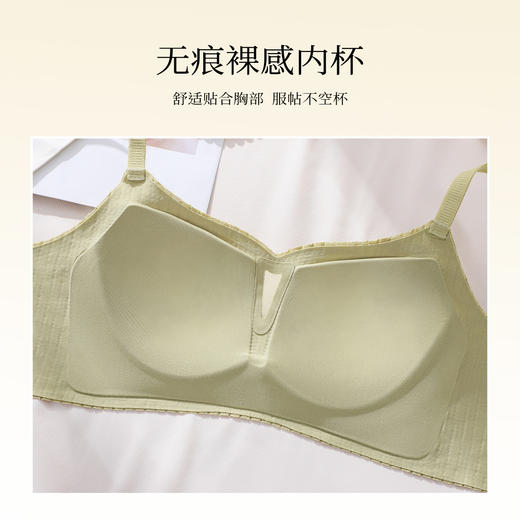 小胸显大上托有型聚拢软支撑防下垂内衣女无钢圈收副乳文胸拈花浅笑 商品图5