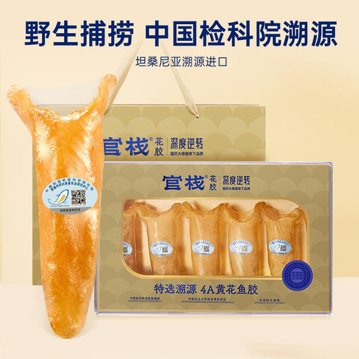 【门店专属】官栈×深度逆转溯源4A黄花鱼胶干花胶90g 商品图1