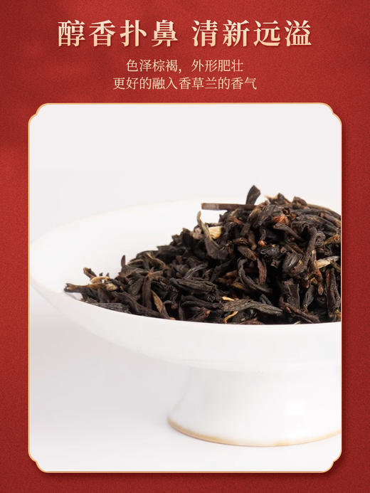 海南兴科香草兰红茶100g/兴隆热带植物园/海南特色风味茶 商品图1