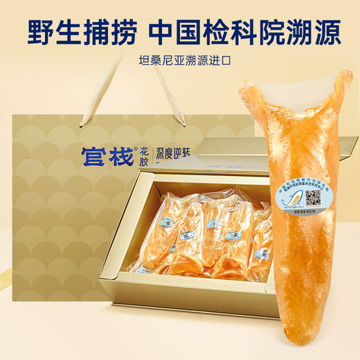 【限时特惠】官栈×深度逆转溯源6A黄花鱼胶干花胶180g 商品图3