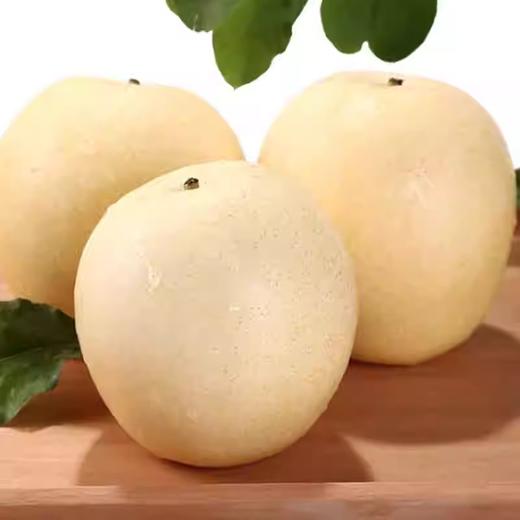 皇冠梨 商品图1