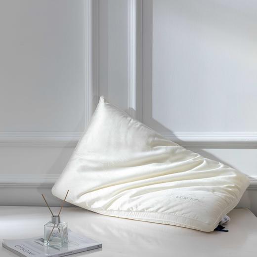 【远梦】绢丝白玉桑蚕丝枕 商品图4