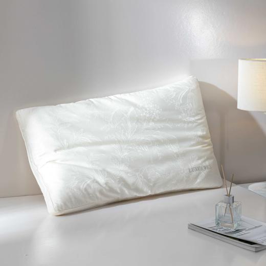 【远梦】绢丝白玉桑蚕丝枕 商品图2