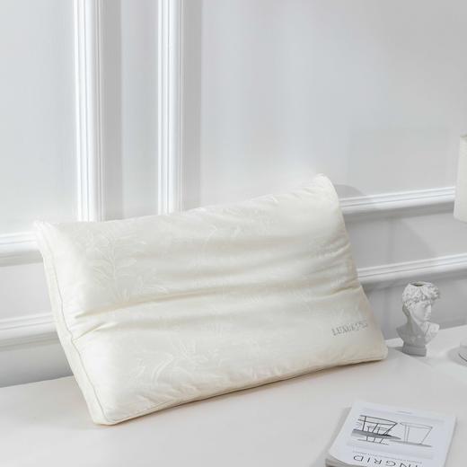 【远梦】绢丝白玉桑蚕丝枕 商品图3