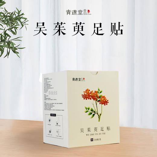 【积分兑换】正安优选·吴茱萸足贴   草本萃取 温和护足 商品图0