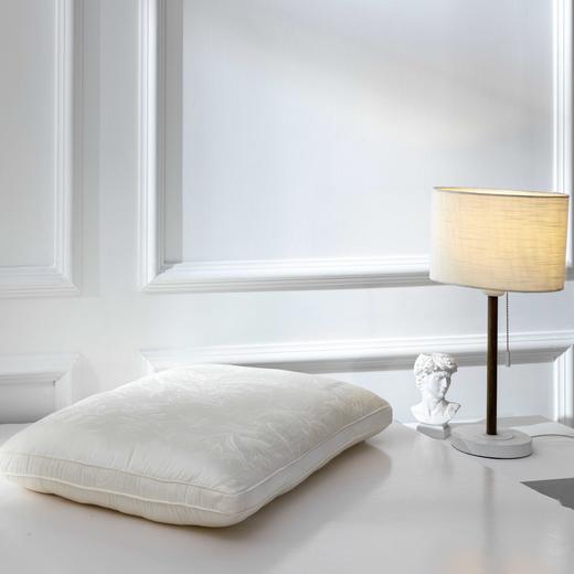【远梦】绢丝白玉桑蚕丝枕 商品图1