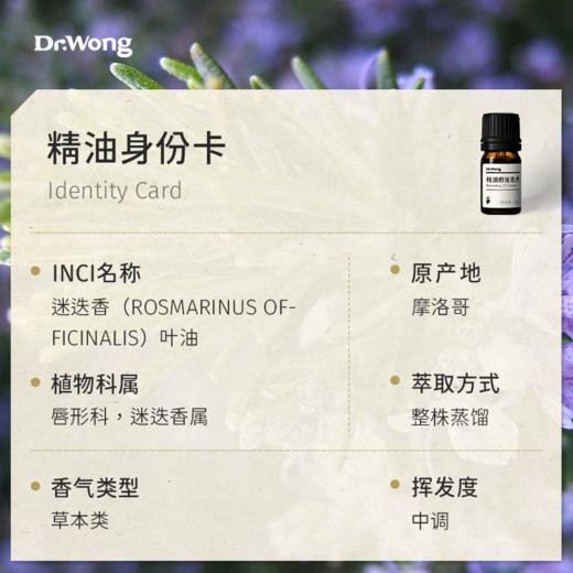 桉油醇迷迭香 单方精油 商品图2