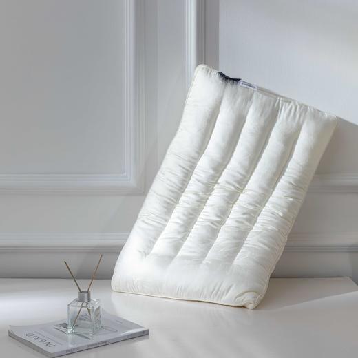 【远梦】绢丝白玉桑蚕丝枕 商品图6